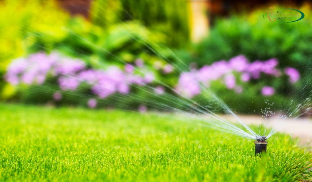 Tips for Watering the Summer Lawn