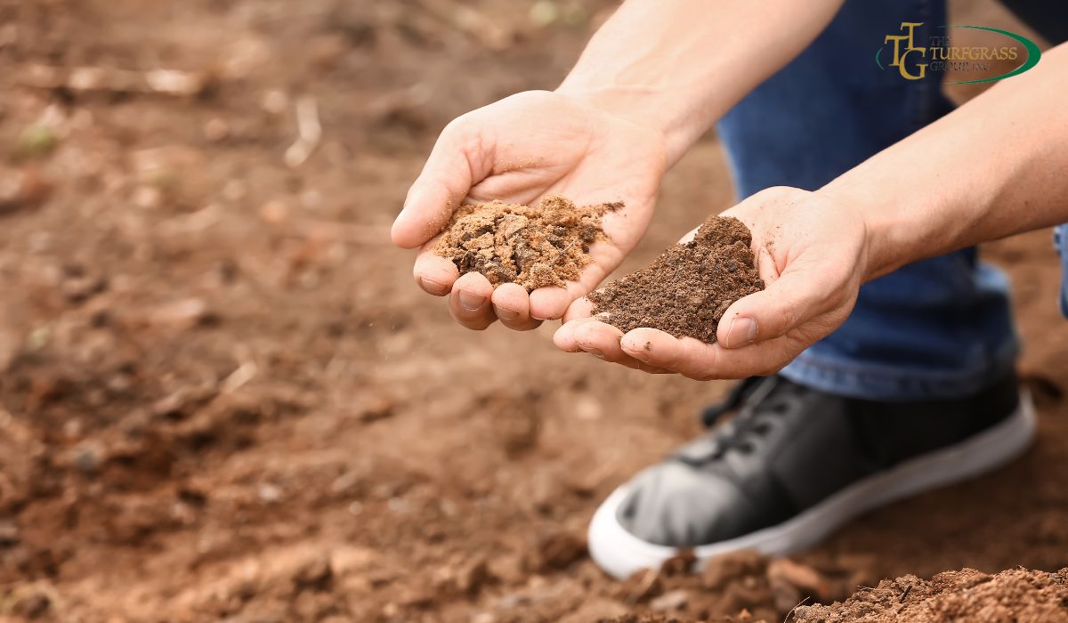 Everything You Need To Know About Soil Testing - The Turfgrass Group Inc