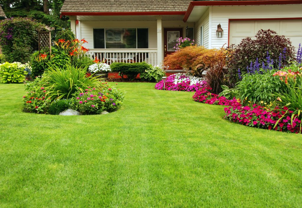 5 Tips for a Healthy Lawn