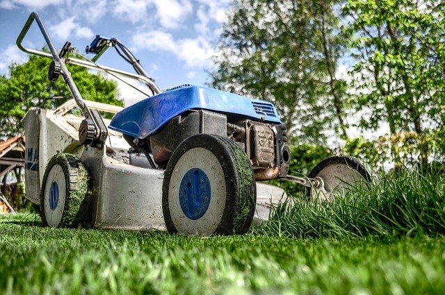 How To Care For Your Lawn As A Beginner