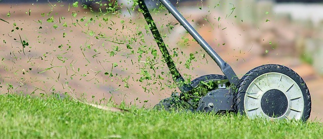 Lawn Mowing and Yard Maintenance: The Cheat-Sheet Version