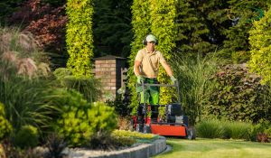 Lawn Maintenance Tips You Can Learn from the Pros