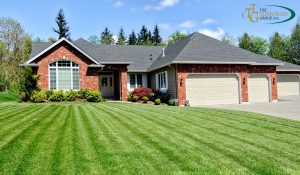 Maintaining a Lush Bermuda Grass Lawn