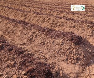 10 Tips for Preventing Soil Compaction