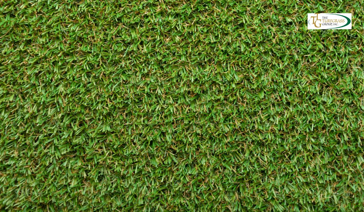 Bermuda Grass Lawn Care