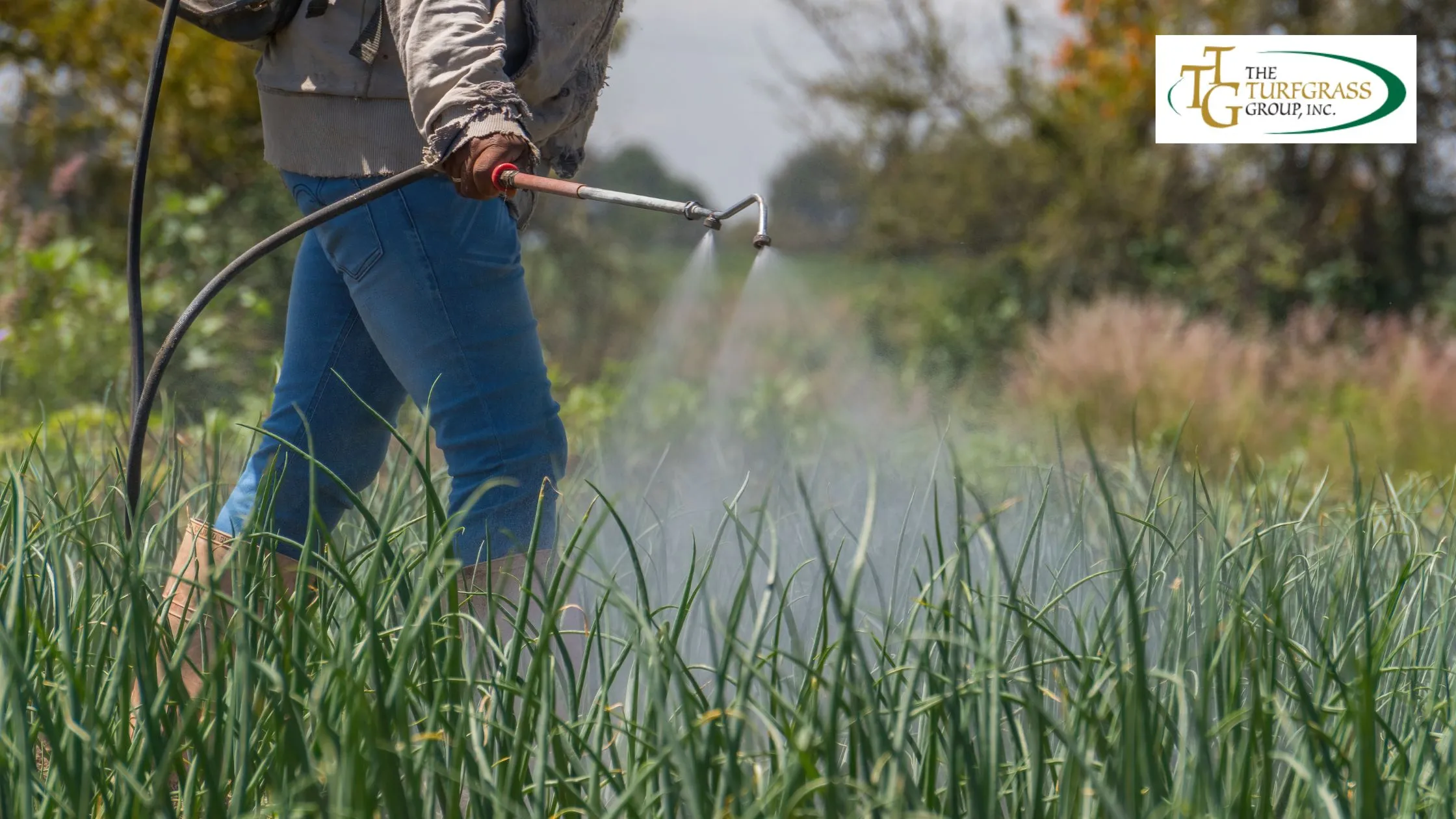 Watering and Fertilizing