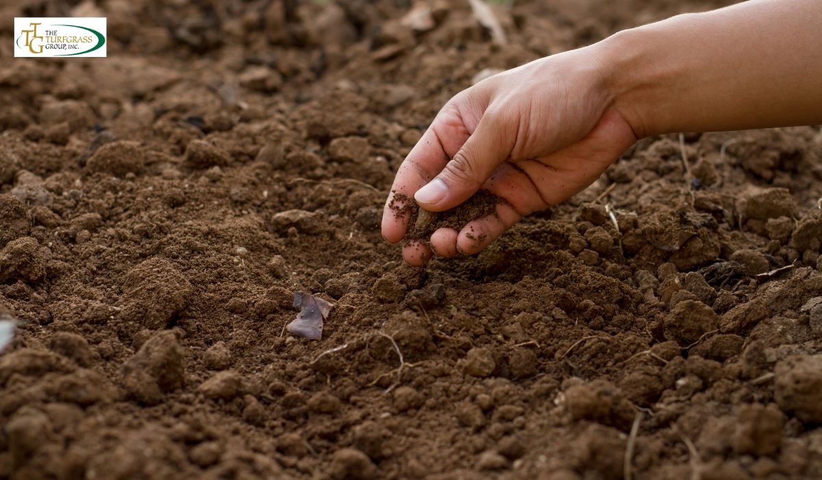 Soil Preparation