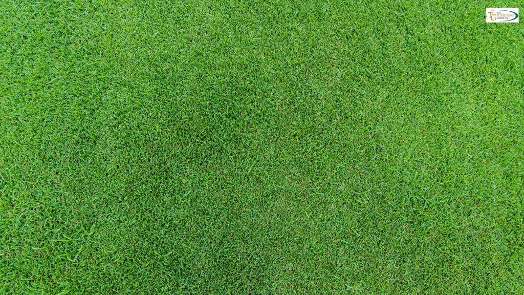 Certified Turfgrass