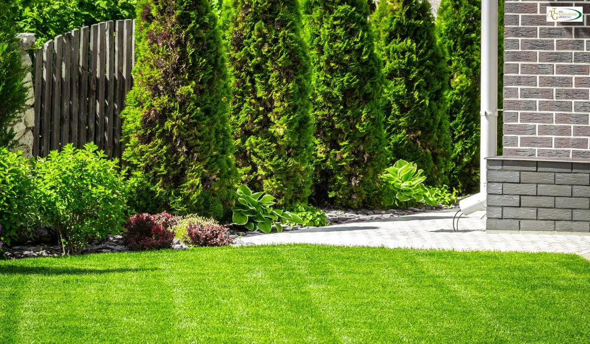 Enjoy a lush, low-maintenance lawn with Zeon® Zoysia Grass​