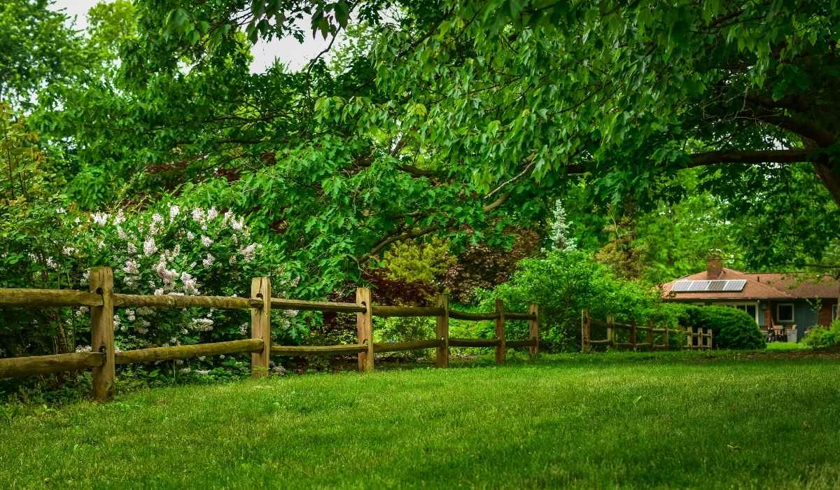 Bermuda grass lawn Need to Know