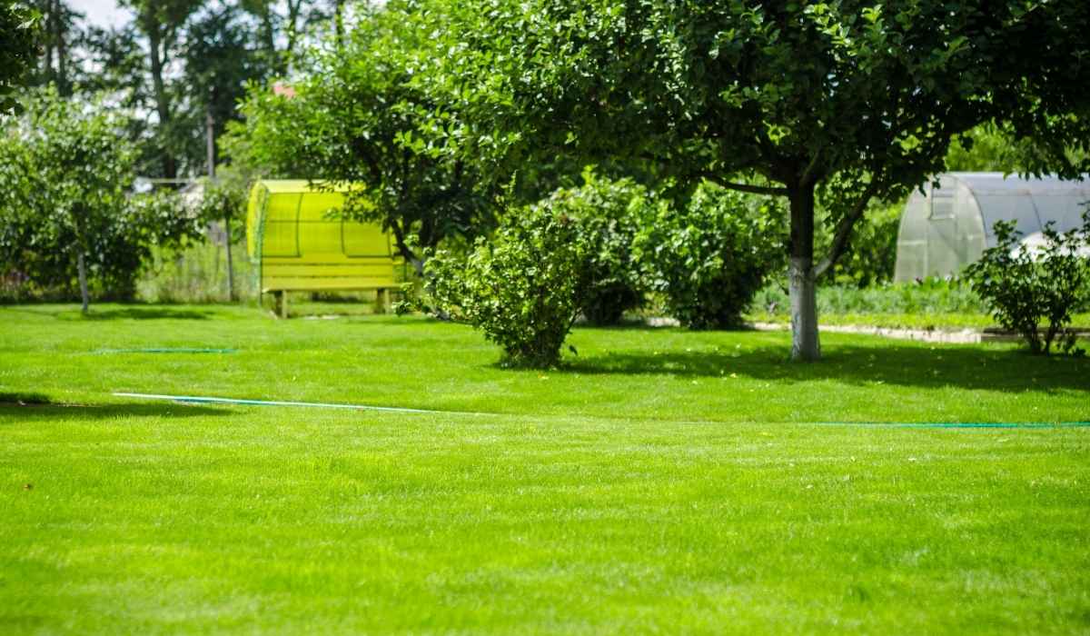 Homeowners Prefer TifTuf® Bermuda Grass