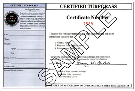 certified trufgrass example certificaate