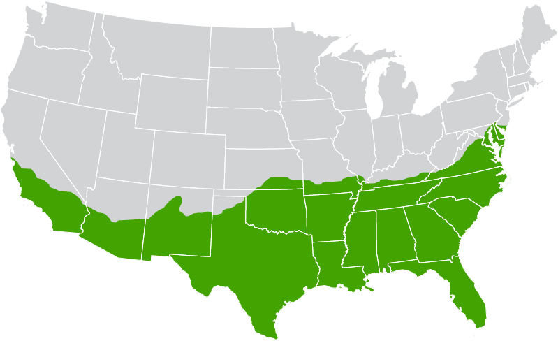 Tifgrand growth zone map