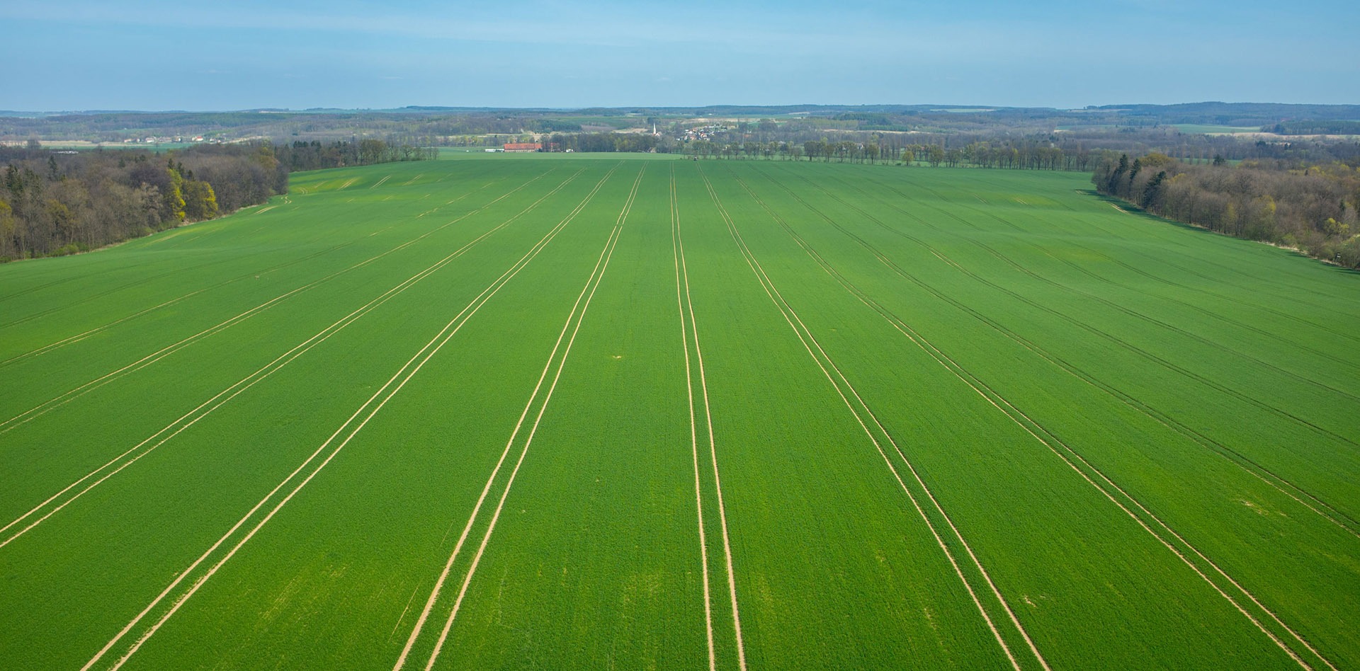 The Turfgrass Group aerial view of grower's field