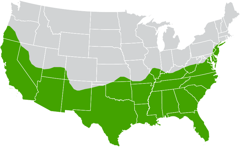 growth zone map for tiftuf