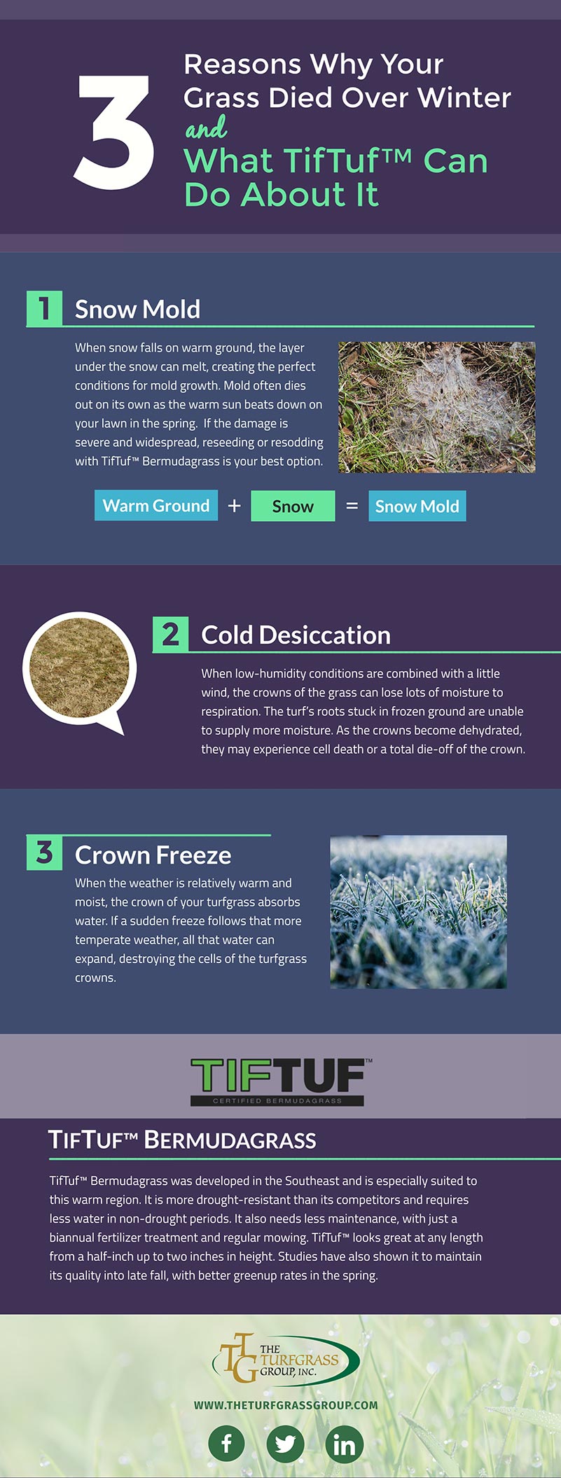 Why Your Grass Died Over Winter [infographic]