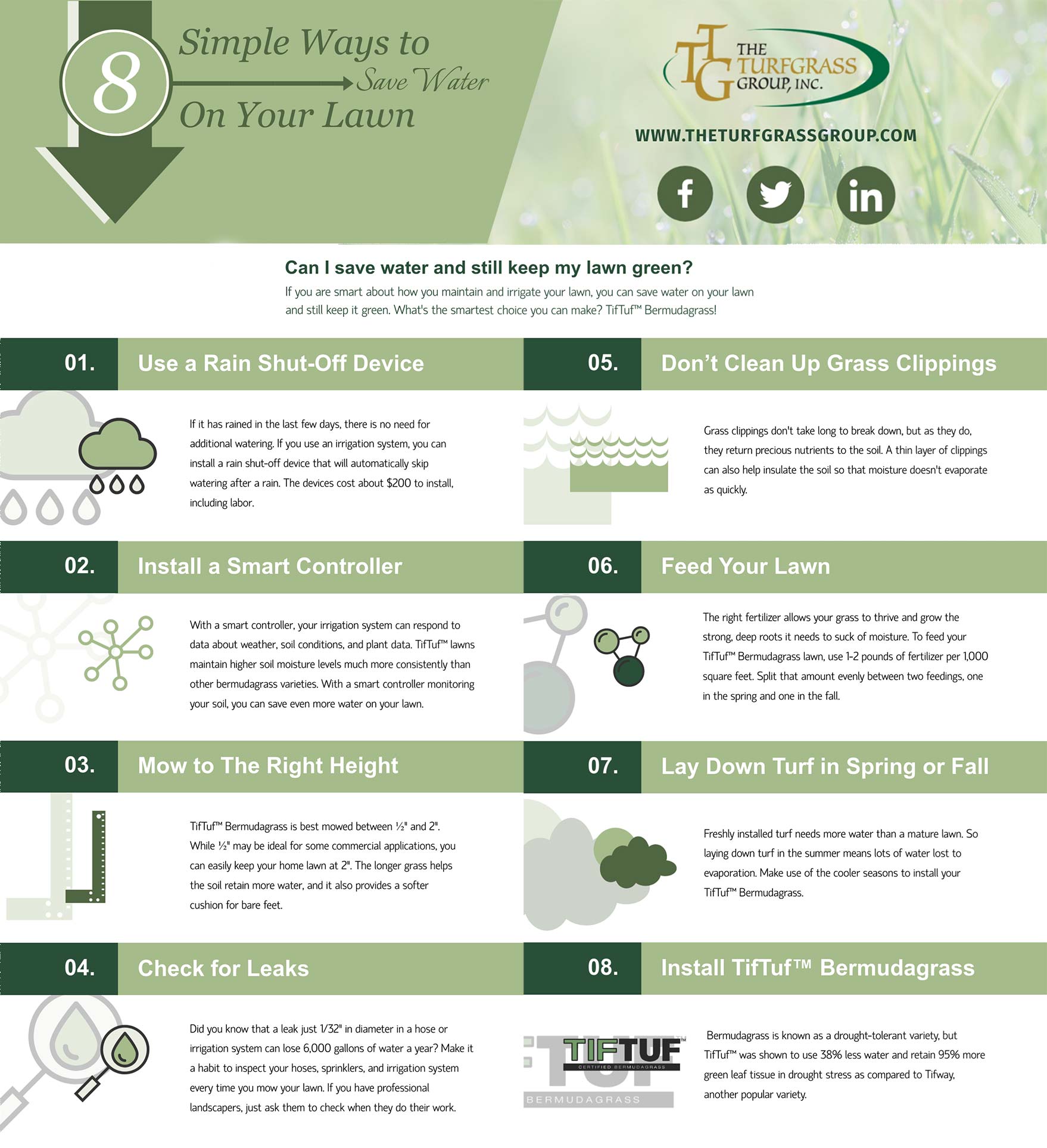 8 Simple Ways to Save Water on Your Lawn [infographic]