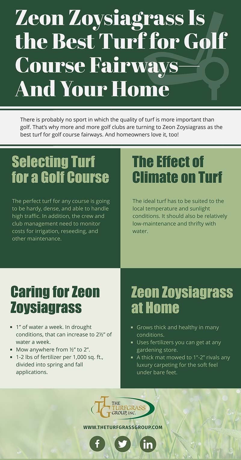 Why Zeon Zoysiagrass Is the Best Turf for Golf Course Fairways—And Your Home [infographic]