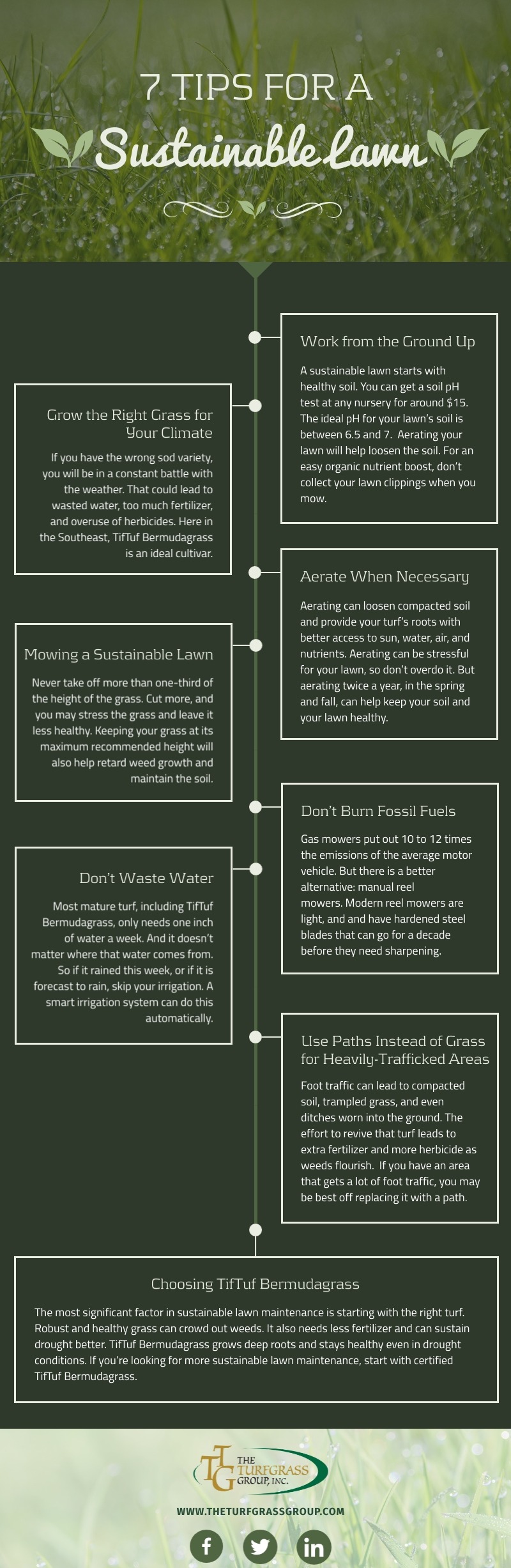 7 Tips for a Sustainable Lawn [infographic]