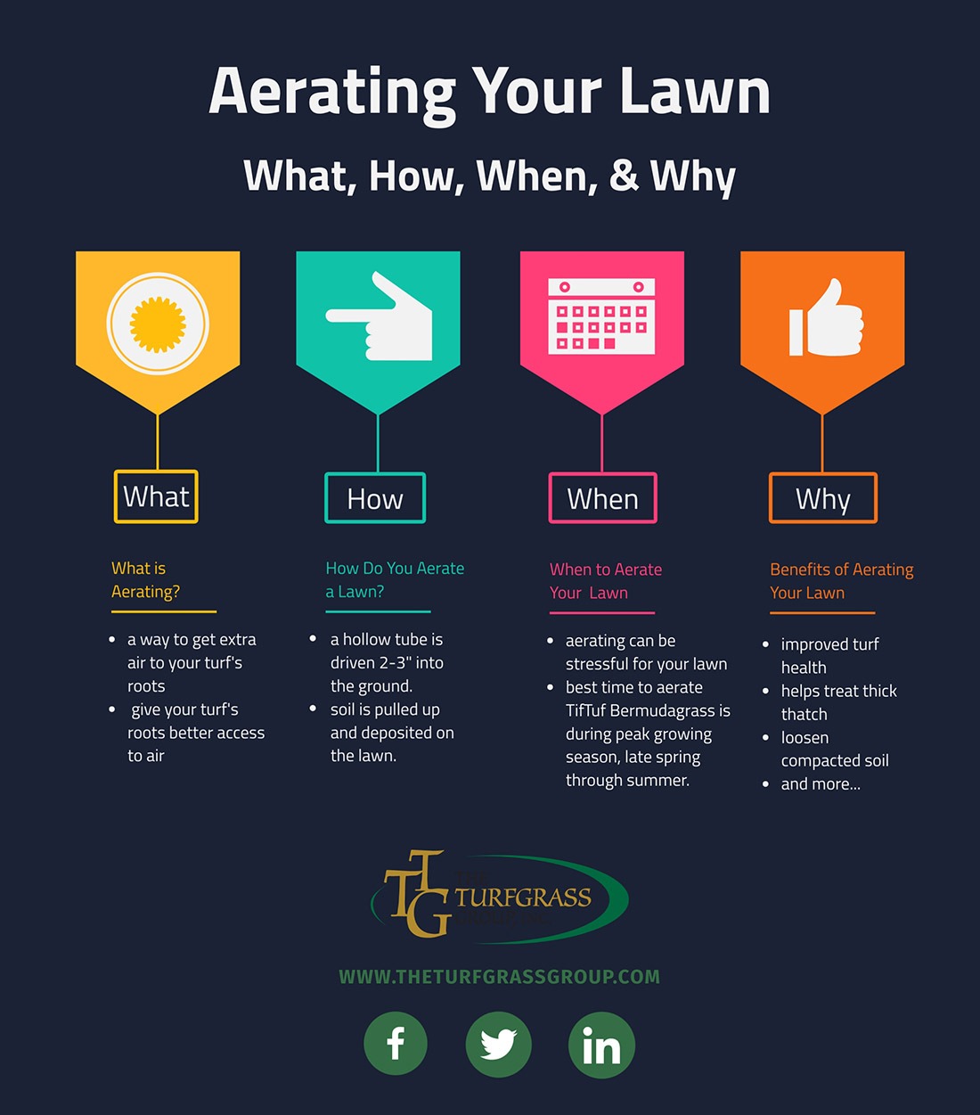 How to Aerate Your TifTuf Bermudagrass Lawn [infographic]