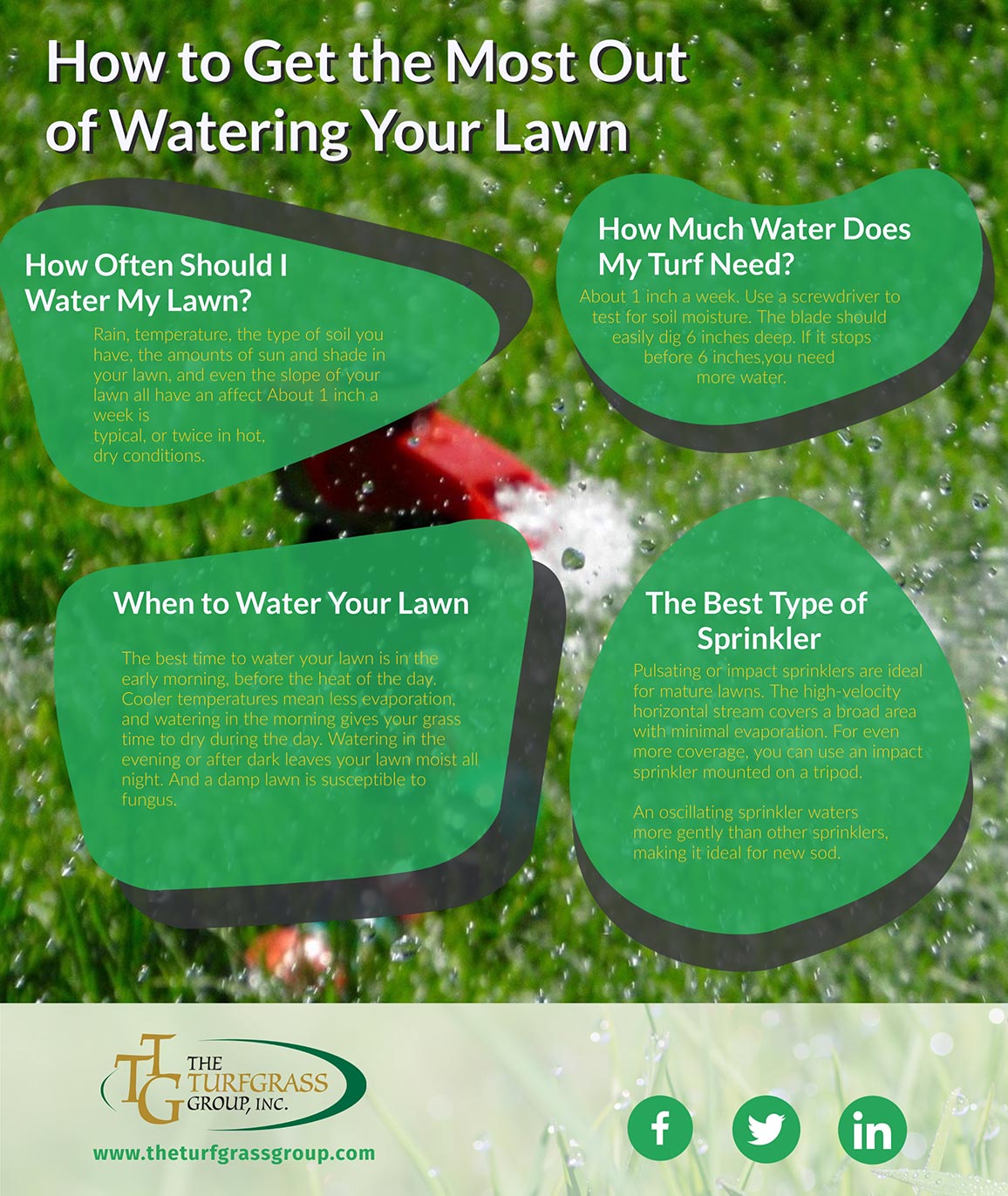 How To Get The Most Out Of Watering Your Lawn The Turfgrass Group Inc