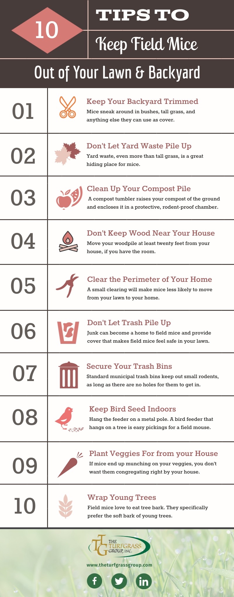 How to Keep Field Mice Out of Your Lawn [infographic]