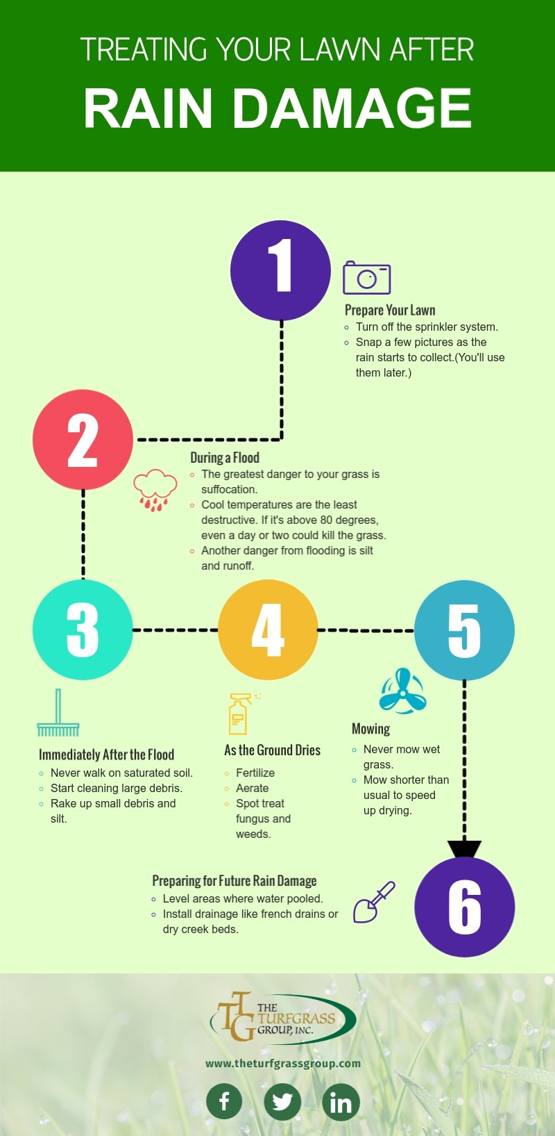 Treating Your Lawn After Rain Damage [infographic]