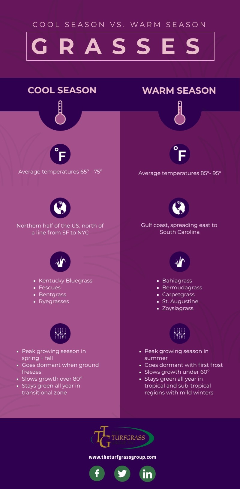 Cool Season vs Warm Season Grasses [infographic]