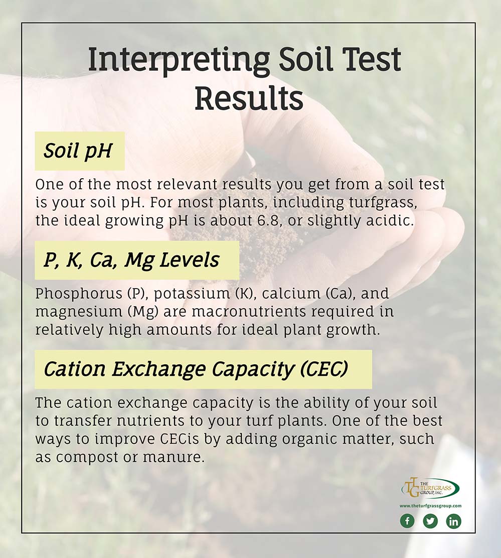 Everything You Need to Know About Soil Testing [infographic]