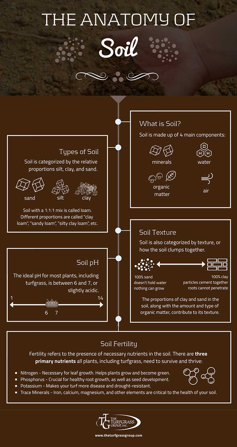 Soil Management for Your Lawn [infographic]