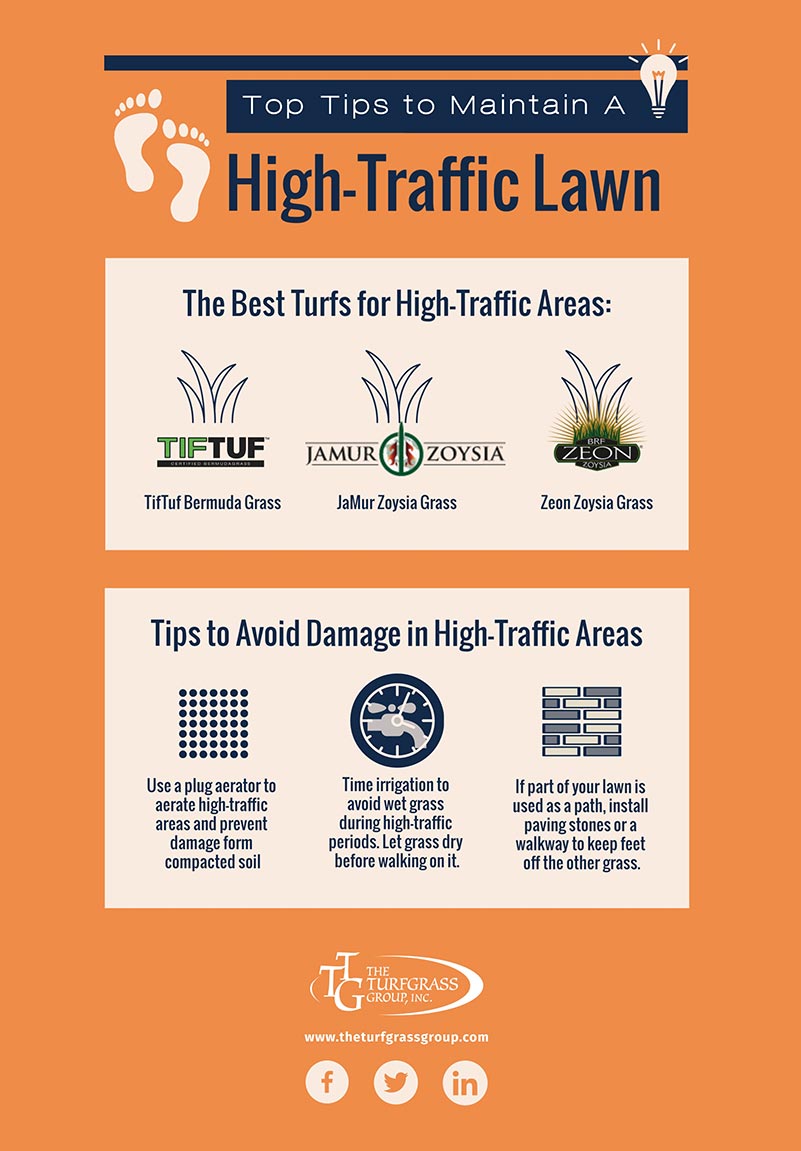 How to Maintain a High-Traffic Lawn - The Turfgrass Group Inc