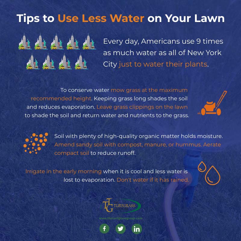 How to Use Less Water on Your Lawn [infographic]