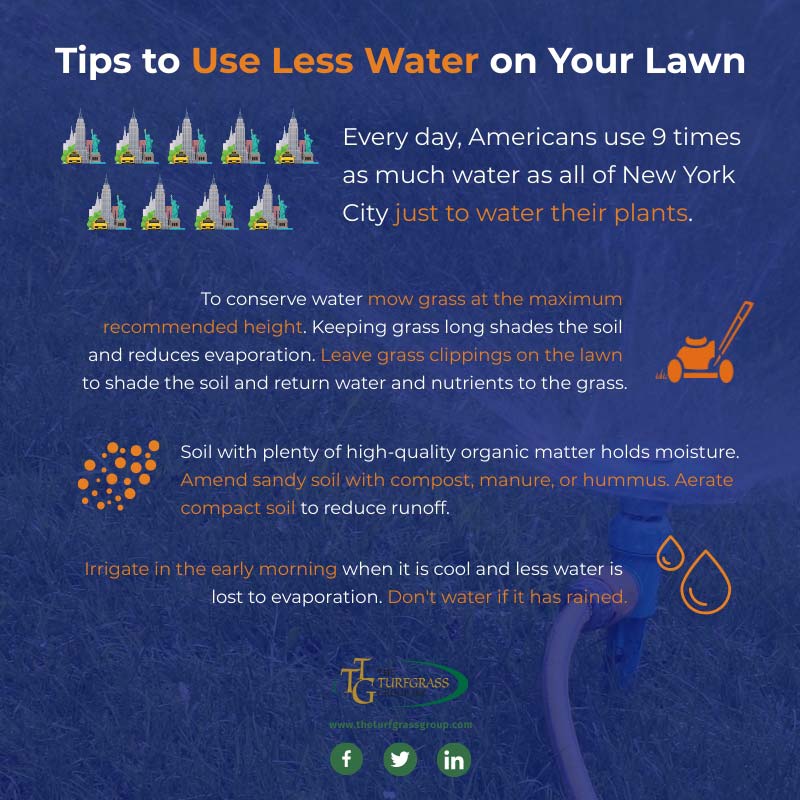 How To Use Less Water On Your Lawn The Turfgrass Group Inc