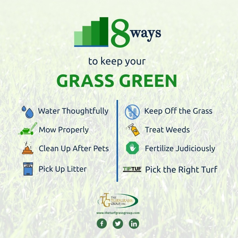 8 Ways to Keep Your Lawn Green - The Turfgrass Group Inc