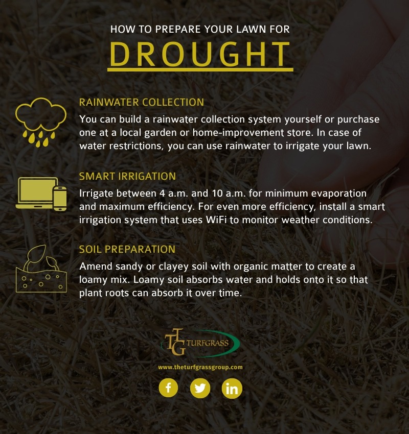 Caring for Your Lawn Before, During, and After a Drought [infographic]