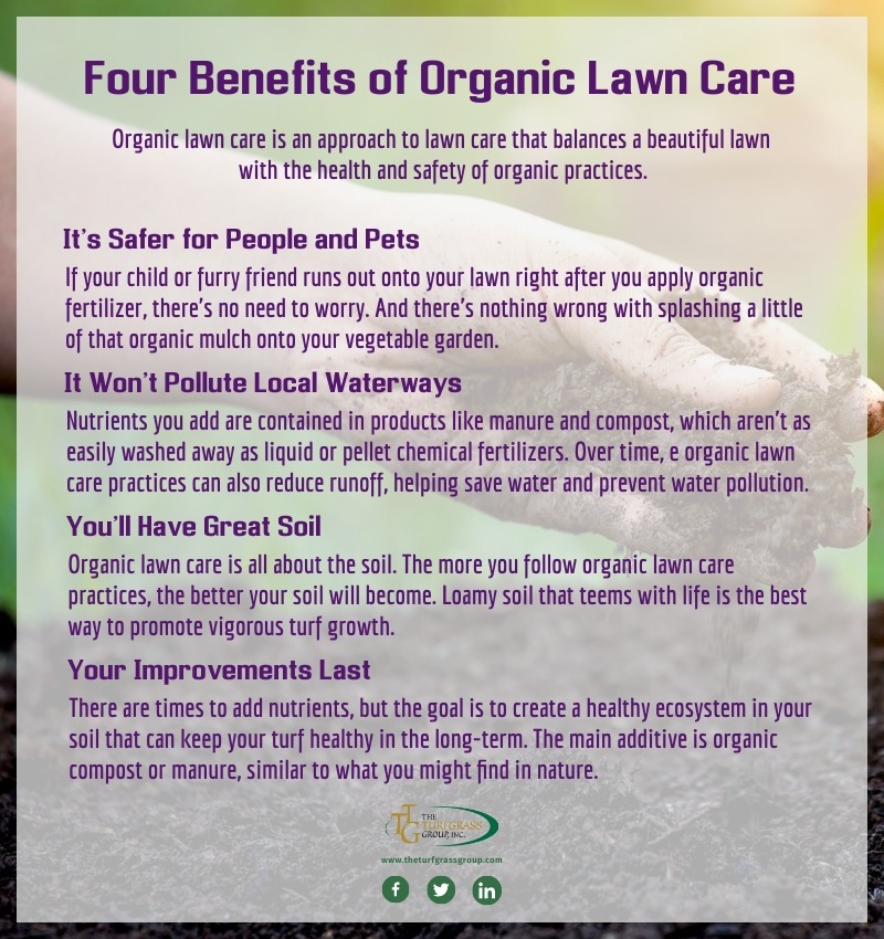 What is Organic Lawn Care [infographic]