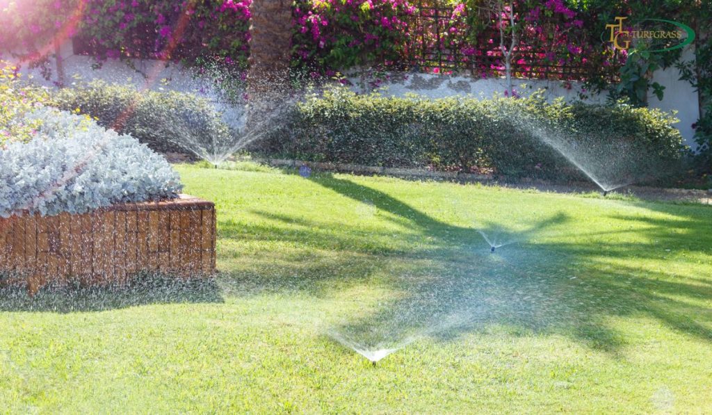 Tips for Watering the Summer Lawn