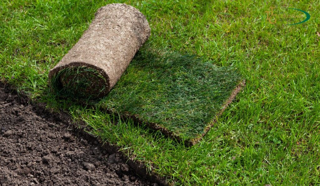 How to Become a Licensed Turfgrass Producer