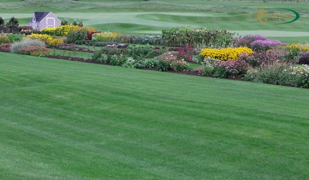 How to Become a Licensed Turfgrass Producer 