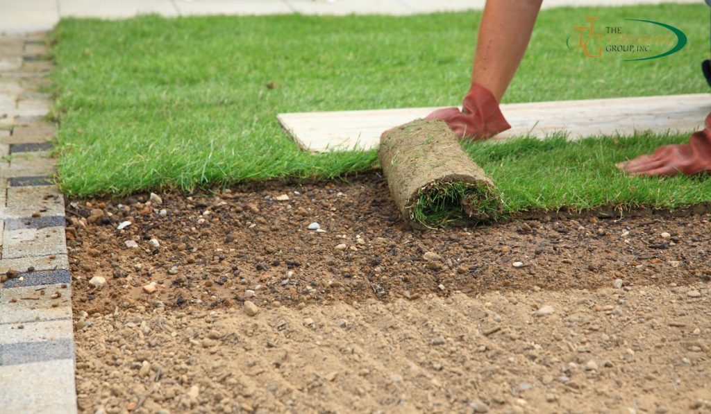 5 Reasons to Consider Sod for Your Lawn