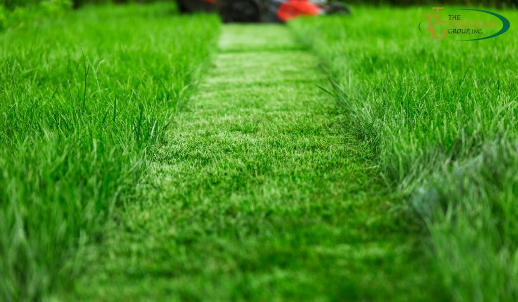 3 Quick and Easy Lawn Hacks