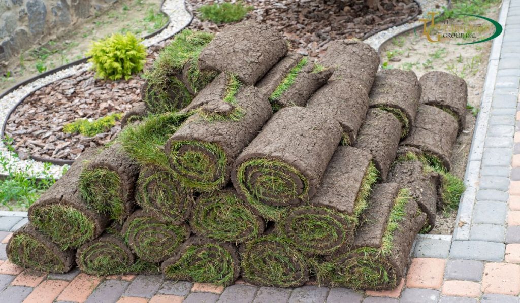 5 Reasons to Consider Sod for Your Lawn