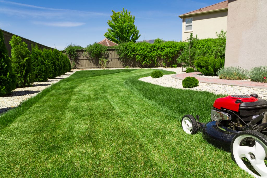 Healthy Lawn is Good for the Environment