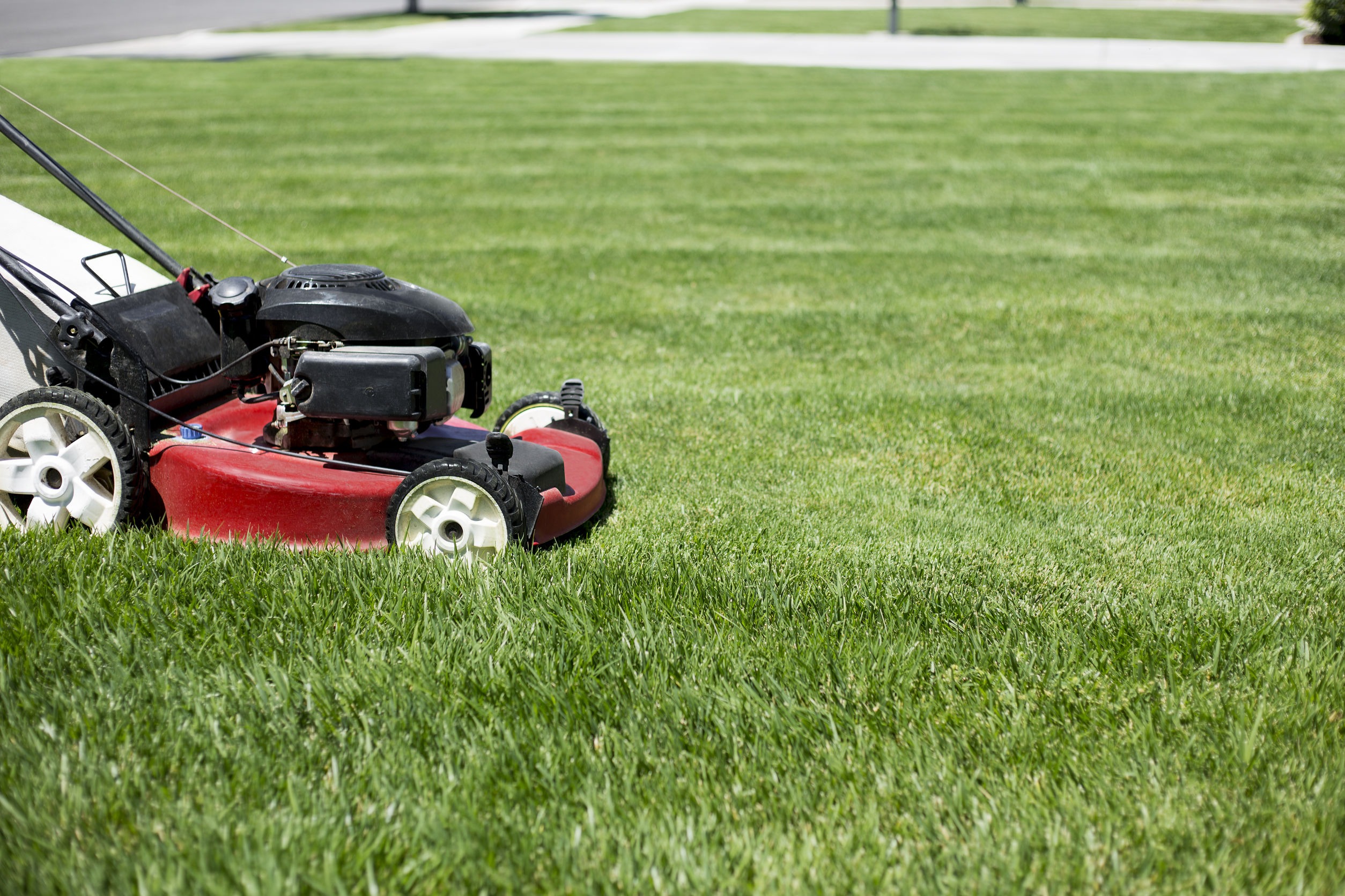 how-often-should-you-cut-your-grass-in-clawson-mi