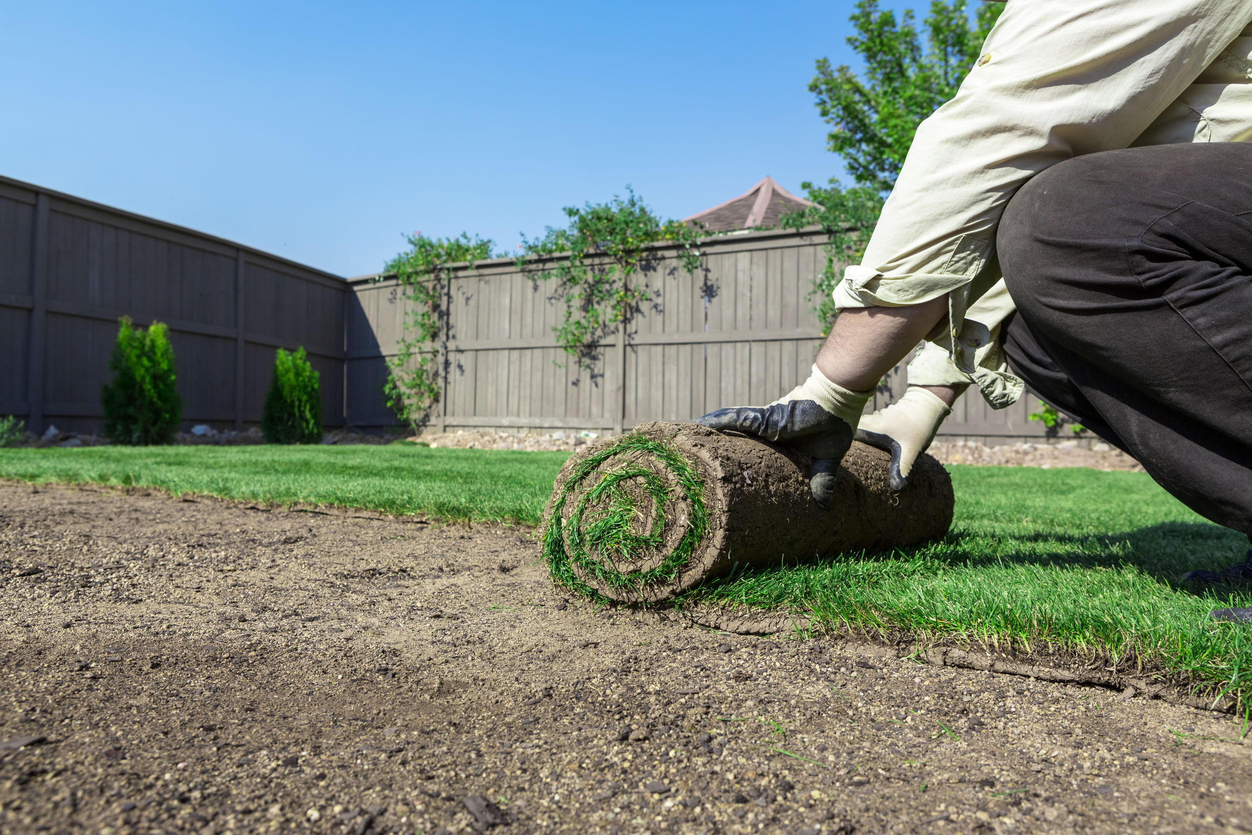 Why Fall is the Best Time to Plant Sod - The Turfgrass Group Inc