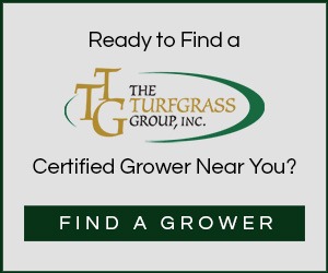 How Much Fertilizer Should I Use on My Lawn? - The Turfgrass Group