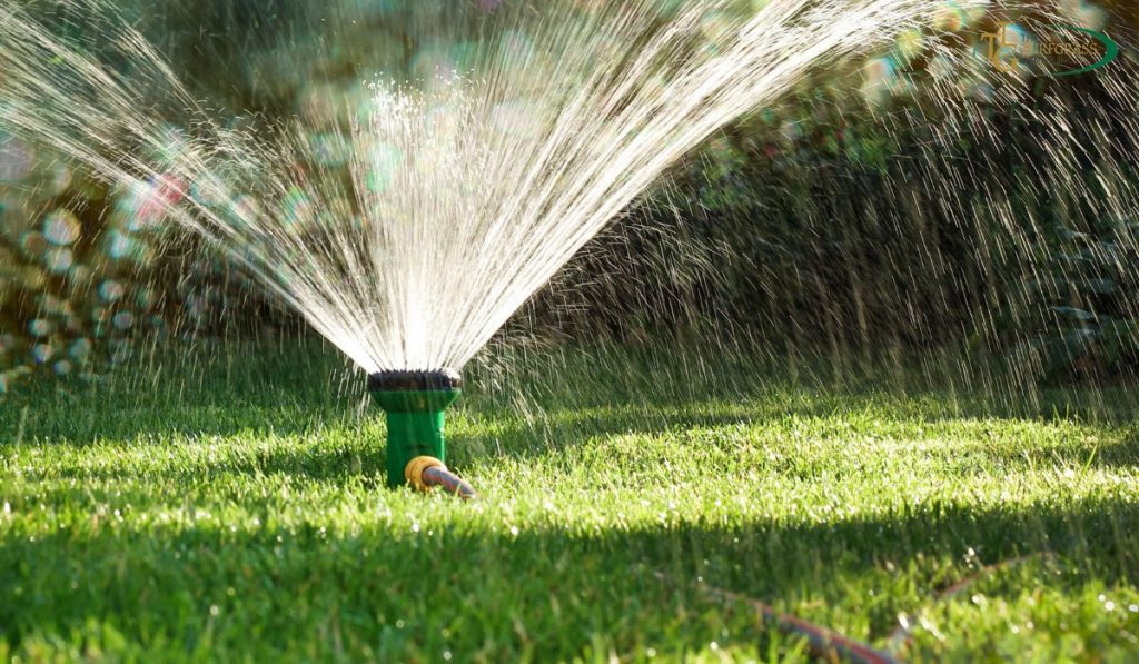 Sprinklers & Watering Your Lawn [Ultimate Guide]
