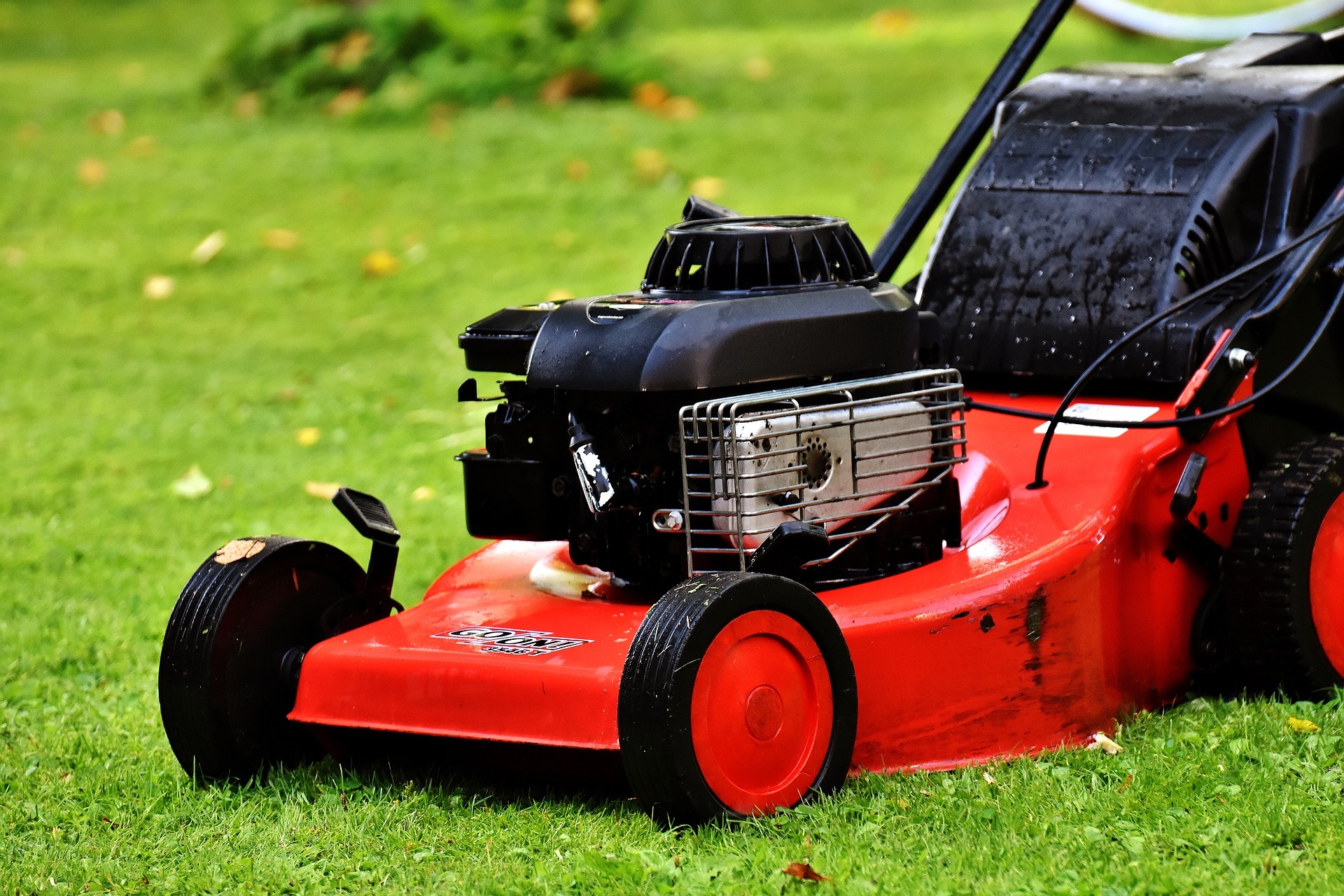 Mowing wet grass discount tips