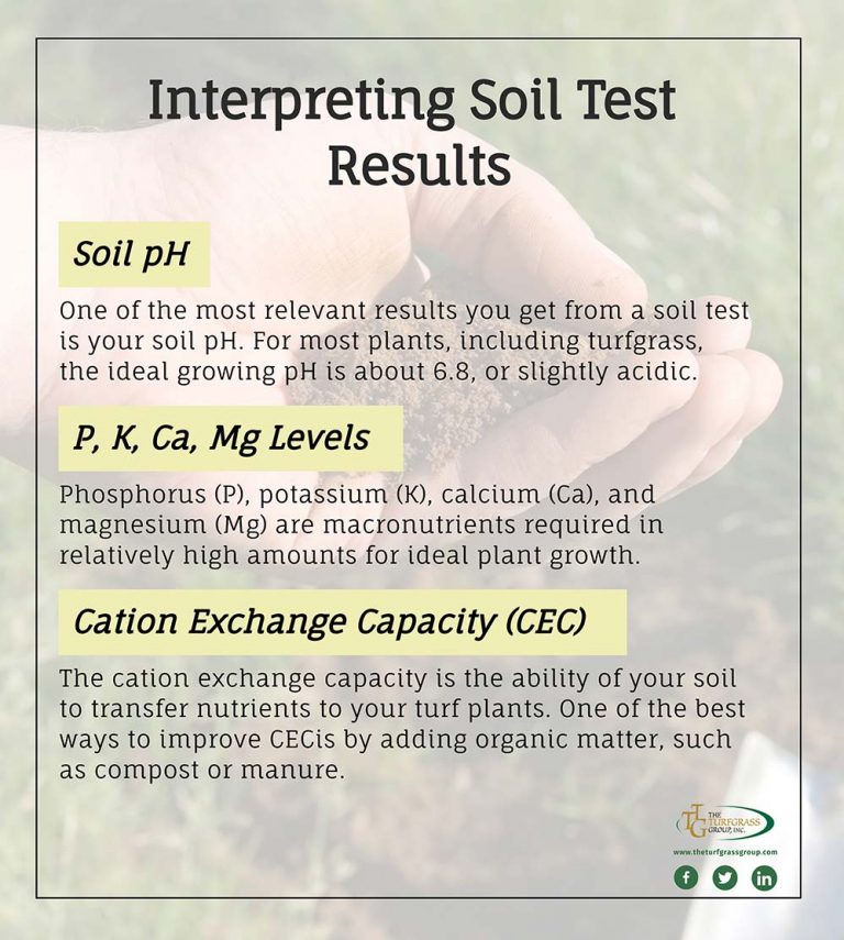 Everything You Need To Know About Soil Testing The Turfgrass Group Inc