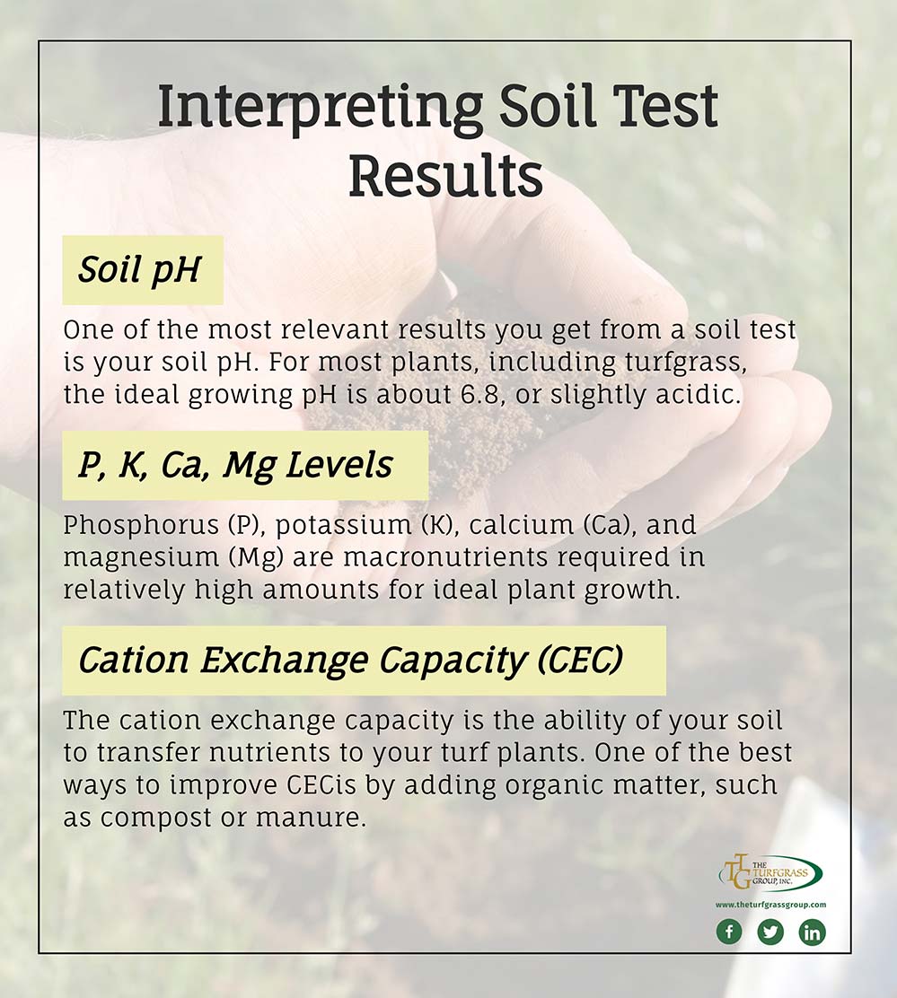 Everything You Need to Know About Soil Testing The Turfgrass Group Inc